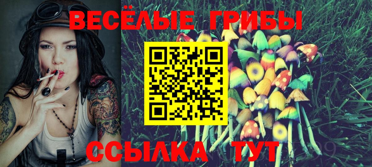 Псилоцибиновые грибы прущие грибы  Галлюциногенные грибы GOLDEN TEACHER  Вход с VPN  Дивногорск 