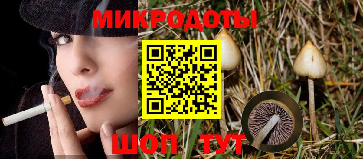 Псилоцибиновые грибы Cubensis Дивногорск