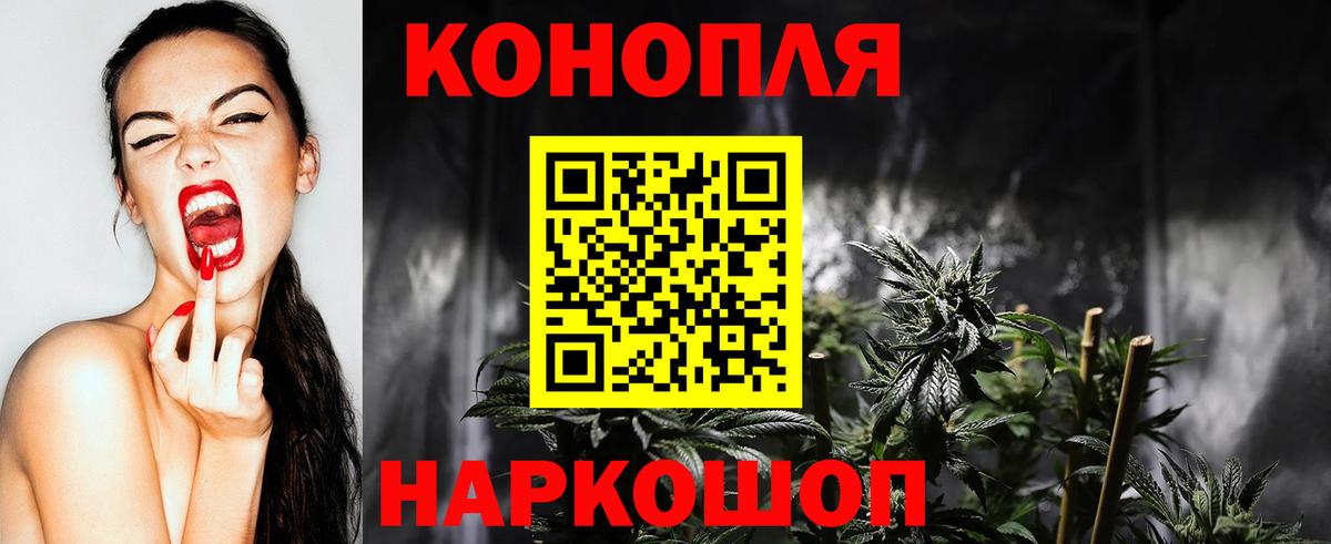 Каннабис сатива Дивногорск